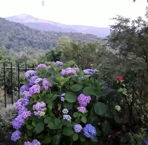 Petit Coin De Paradis بيت للعطل إفيسا