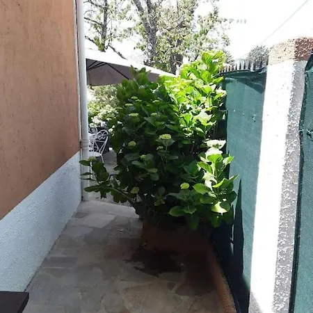 بيت للعطل Petit Coin De Paradis