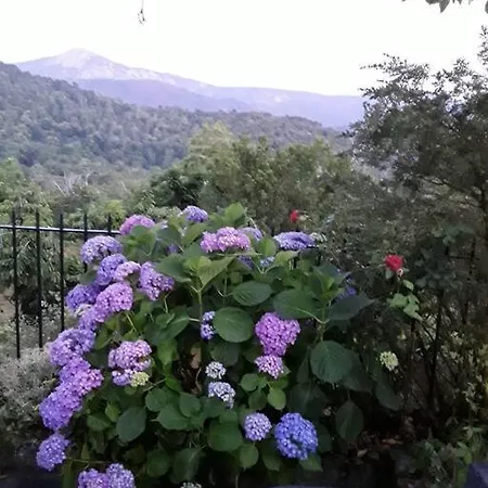 Petit Coin De Paradis بيت للعطل إفيسا